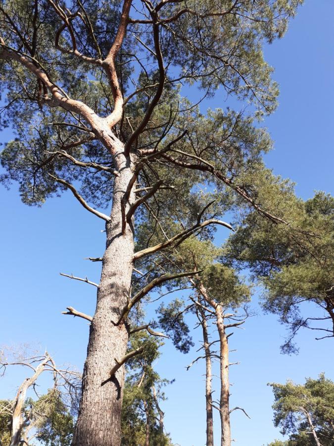Nijlen B&B Altijd Zomer מראה חיצוני תמונה